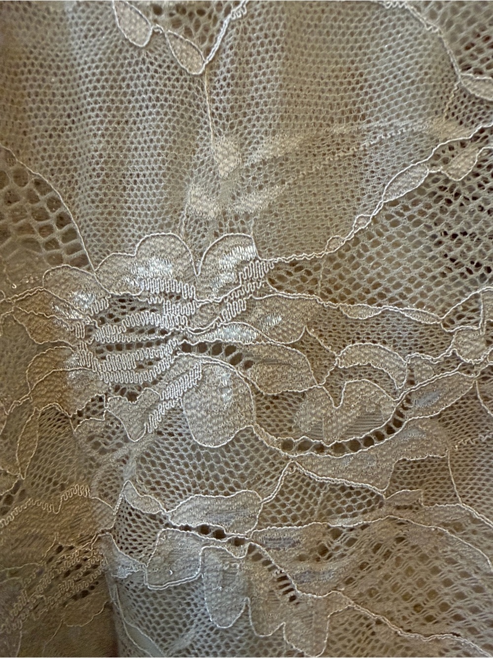 ‼️RESTOCKED‼️ A Rare Bird Vintage Sheer STRETCHY Lace Sand Long-Sleeve - Picture 6 of 8